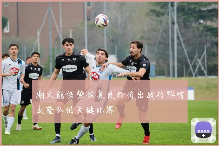 谢文能伤势恢复良好将出战对阵喀麦隆队的关键比赛